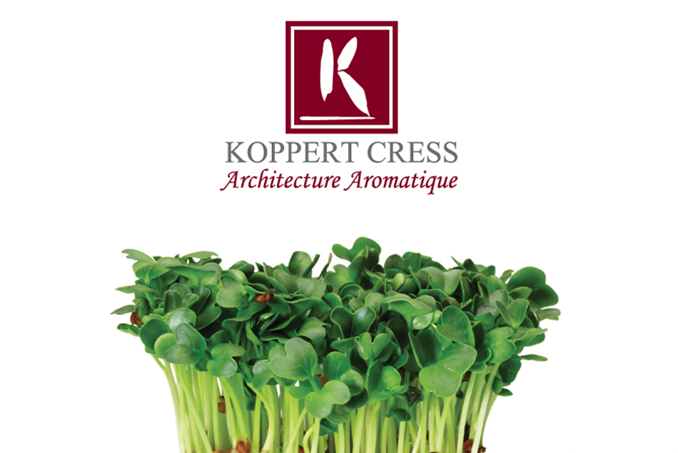KK&P is seeking an experienced Accounting Manager for Koppert Cress USA