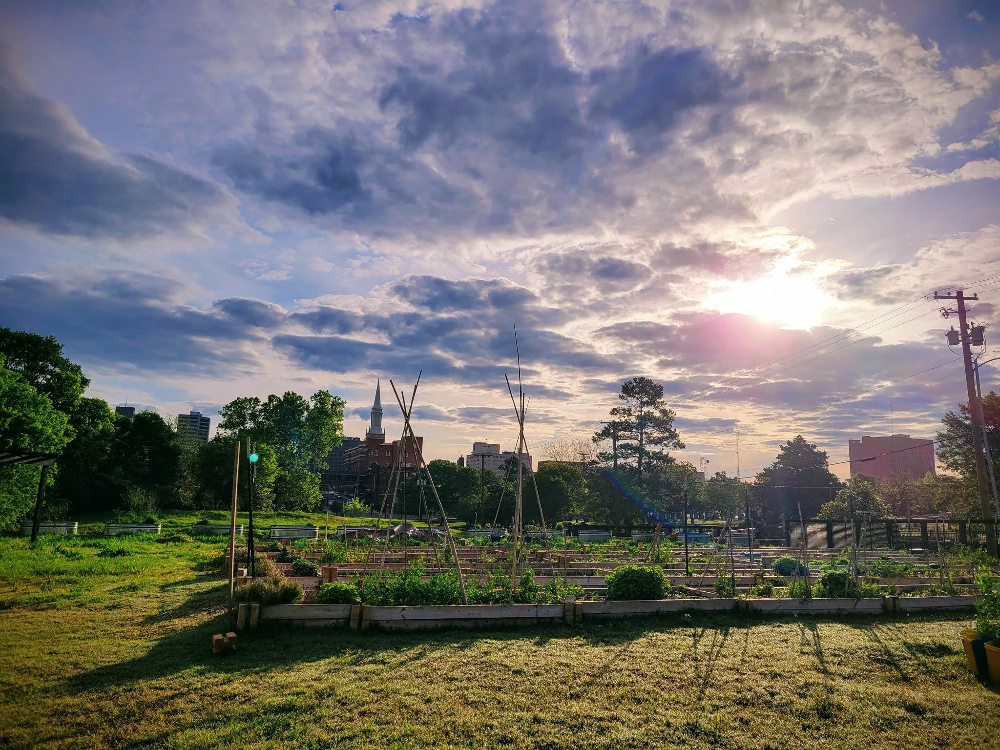 Evolution of a Food Systems Community in Louisiana